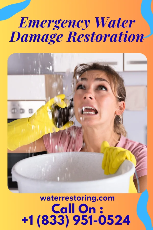 Emergency Water Damage Restoration in Pinewood, FL